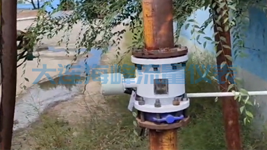 大连海峰电磁流量计的维护与保养